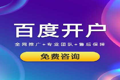 SEM公司案例分享：优化效果与转化率提升策略